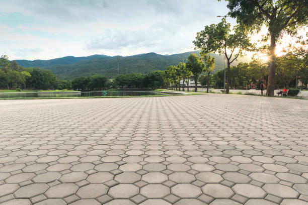 Best Residential Paver Driveway  in Lincoln Park, NY